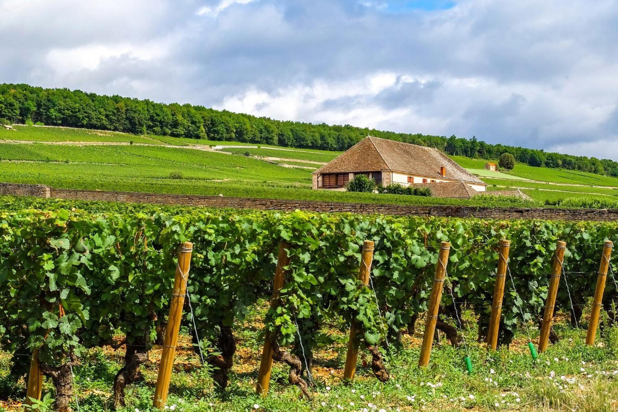 Hotel Voco Beaune , Cite Des Vins By Ihg 4*